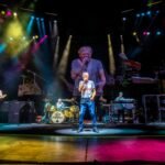 DEEP PURPLE - NICUA - 2026-00084